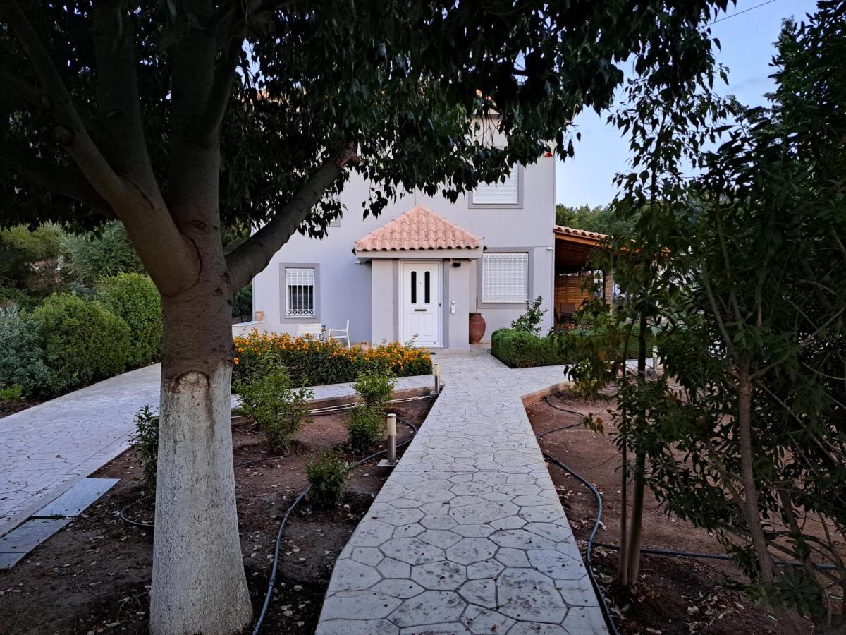 Studio Katafigi Anavyssos Esterno foto